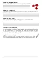 Vorschau - Arbeitsblätter - Atmung und Blutkreislauf Klassenarbeit Biologie Klasse 7 Gymnasium - Seite 3