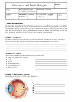 Vorschau - Arbeitsblätter - Sinne & Hormone Biologie Klassenarbeit: 8. Klasse Gymnasium - Deckblatt
