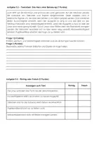 Vorschau - Arbeitsblätter - Sinne & Hormone Biologie Klassenarbeit: 8. Klasse Gymnasium - Seite 3