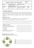 Vorschau - Arbeitsblätter - Ökologie Materialpaket: Ökosystem, Umweltfaktoren & Stoff- und Energiekreisläufe - Seite 1