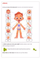 Vorschau - Arbeitsblätter - The body parts - Arbeitsblatt - Seite 2