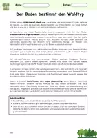 Vorschau - Arbeitsblätter - Der Boden bestimmt den Waldtyp Naturwissenschaft - Deckblatt