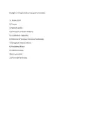 anteprima - Presentazioni / Lavagne - Dialoghi e immagini dalla Prima guerra mondiale - Pagina 1