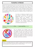 Vorschau - Arbeitsblätter - Bakterien: Aufbau, Erkrankungen, Antibiotika - Seite 1