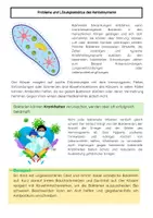 Vorschau - Arbeitsblätter - Bakterien: Aufbau, Erkrankungen, Antibiotika - Seite 2