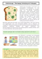 Vorschau - Arbeitsblätter - Parasiten und Infektionswege: Hygiene, Übertragung, Prävention - Seite 2