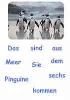 Vorschau - Arbeitsblätter - Sätze bilden
10 Arbeitsblätter mit Tierfotos und Purzelwörtern
2 Sätze pro Tier und Blankovorlagen - Seite 3