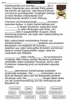Vorschau - Arbeitsblätter - Kohlenhydrate | Lückentext | Chemie | Organische Chemie - Seite 1