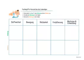 Vorschau - Spiele - Kennzeichen des Lebendigen - Legekarten, Domino & Tabelle - Seite 3