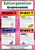 Vorschau - Arbeitsblätter - Die Zellorganellen Gruppenarbeit: Ribosomen, Zellkern, Mitochondrien, ER - Deckblatt