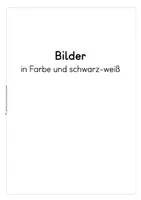 Vorschau - Arbeitsblätter - Bildgeschichte schreiben – Vorübungen, Gefühle & Wortspeicher für Klasse 3–5 - Seite 2