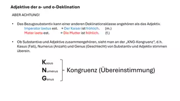 Vorschau - Arbeitsblätter - Lateinische Adjektive der o- und a-Deklination (Einführung und Übungen) - Seite 2