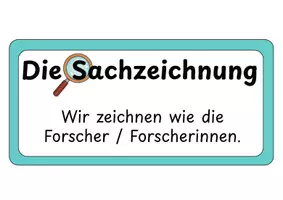 Vorschau - Arbeitsblätter - BUNDLE: Komplettpaket Sachzeichnen als Methode im Sachunterricht - Tafelmaterial mit differenzierten Kriterien + Checklisten zur Selbst- und Fremdreflexion. Sprachsensibel durch Visualisierungen zur Förderung der Selbstständigkeit - Seite 3