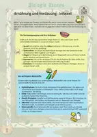 Vorschau - Arbeitsblätter - Escape Verdauung mit Infotext (6. Klasse) - Seite 1