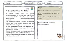 Vorschau - Arbeitsblätter - Tiere im Winter Materialpaket – Klasse 2–4 Winterschlaf, Winterruhe & Winterstarre - Seite 2