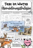 Vorschau - Arbeitsblätter - Tiere im Winter: Überwinterungsstrategien (Kartei & Arbeitsblätter) - Deckblatt