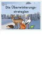 Vorschau - Arbeitsblätter - Tiere im Winter: Überwinterungsstrategien (Kartei & Arbeitsblätter) - Seite 1