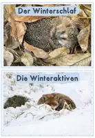 Vorschau - Arbeitsblätter - Tiere im Winter: Überwinterungsstrategien (Kartei & Arbeitsblätter) - Seite 2