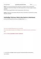 Vorschau - Poster - Spanisch Oberstufe Materialpaket (Klausuren und Merkzettel) - Seite 2