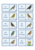 Vorschau - Stationenlernen - Domino Vögel im Garten, 3-fach differenziert - Seite 3