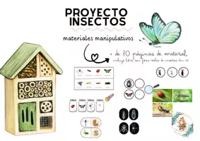 Vista previa - Unidades / Secuencias / Situaciones de Aprendizaje - Pack Insectos - página 1