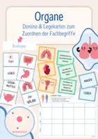 Vorschau - Arbeitsblätter - Organe des Menschen - Legekarten, Domino & Tabelle - Deckblatt