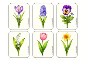 Vorschau - Unterrichtsreihen - Unterrichtseinheit Frühblüher – Frühling im Sachunterricht | Grundschule Klasse 1–2 - Seite 1