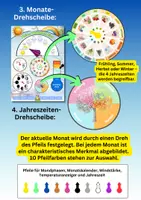 Vorschau - Arbeitsblätter - Wetterstation für Kinder – Wetter, Jahreszeiten & Mondphasen lernen | Morgenkreis & Sachunterricht - Seite 2