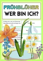 Vorschau - Arbeitsblätter - Frühblüher: ,,Wer bin ich?" - 20 Fragen mit Lösungen - Deckblatt