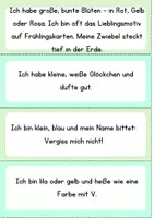 Vorschau - Arbeitsblätter - Frühblüher: ,,Wer bin ich?" - 20 Fragen mit Lösungen - Seite 3