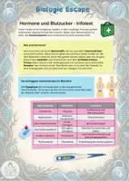 Vorschau - Arbeitsblätter - Escape Hormone und Blutzucker mit Infotext (9. Klasse) - Seite 1