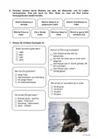 Vorschau - Arbeitsblätter - Ötzi - Der Mann aus dem Eis (Eine Sensation) - Seite 3