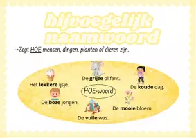 Voorbeeld - lidwoorden, BN, ZN - Pagina 2