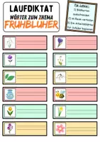Vorschau - Unterrichtsreihen - Laufdiktat • Schleichdiktat: Frühblüher - DaZ/DaF / Deutsch (Diktat) - Seite 3