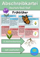 Vorschau - Unterrichtsreihen - Abschreibkartei: Thema Frühblüher - DaZ/DaF / Deutsch (schreiben • Rechtschreibung) - Deckblatt