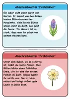 Vorschau - Unterrichtsreihen - Abschreibkartei: Thema Frühblüher - DaZ/DaF / Deutsch (schreiben • Rechtschreibung) - Seite 3