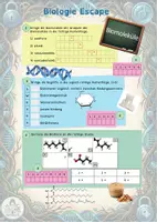 Vorschau - Arbeitsblätter - Escape Biomoleküle mit Infoblatt (Sek. II) - Seite 3