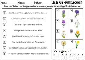 Vorschau - Spiele - Lesespur / Leserätsel: Frühblüher - DaZ/DaF / Deutsch - Seite 2