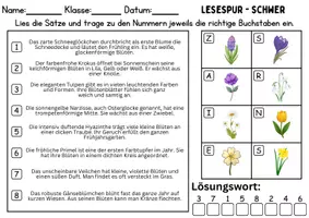 Vorschau - Spiele - Lesespur / Leserätsel: Frühblüher - DaZ/DaF / Deutsch - Seite 3