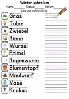 Vorschau - Arbeitsblätter - Wörter zuordnen: Frühblüher - DaZ/DaF / Deutsch (Wortschatz) - Seite 1