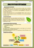 Vorschau - Arbeitsblätter - Die Fotosynthese | Unterrichtsreihe "Blütenpflanzen", Biologie 6.-7. Klasse - Seite 2