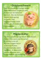 Vorschau - Anderer Materialtyp - Kartei Glückssymbole - 25 Glückssymbole und deren Bedeutung - passend zum Buch "Maya und der Schlüssel zum Glück" - Seite 2