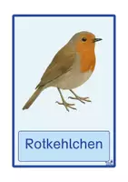 Vorschau - Stationenlernen - Vögel im Garten Bildkarten (Grund- & Druckschrift) - Seite 1