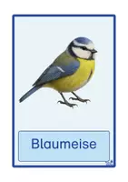 Vorschau - Stationenlernen - Vögel im Garten Bildkarten (Grund- & Druckschrift) - Seite 3
