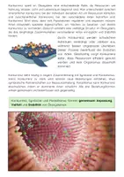 Vorschau - Arbeitsblätter - Symbiose, Parasitismus, Konkurrenz im Ökosystem - Seite 3
