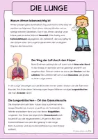 Vorschau - Arbeitsblätter - Die Lunge / Atmung / Organe des Menschen - Sachtext & Arbeitsblatt - Seite 1