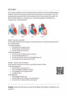 Vorschau - Stundenentwürfe - Das Herz Bio 8, Aufgaben und Funktion, Lerneinheit, Lerntheke - Seite 3