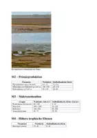 Vorschau - Arbeitsblätter - Klausur - Ökologie – Vergleich zweier Küstenökosysteme - Seite 2