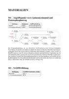 Vorschau - Arbeitsblätter - Klausur - Stoffwechselphysiologie – Pentosephosphatweg und Redoxhaushalt- Wirkung von 6-Aminonicotinamid - Seite 1
