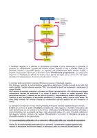 anteprima - Altro tipo di materiale - Fisiologia -Riassunti-Sistema endocrino e apparato urinario - Pagina 3